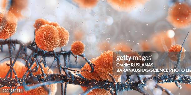 ilustraciones, imágenes clip art, dibujos animados e iconos de stock de candida yeast, illustration - aftas