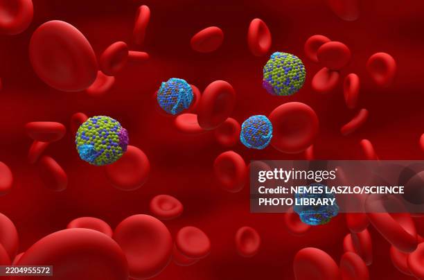 high and low density lipoproteins, illustration - lipid stock-grafiken, -clipart, -cartoons und -symbole