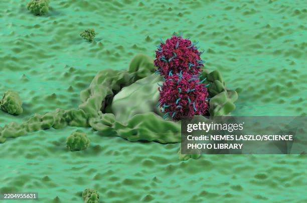 car-t cell therapy for colorectal cancer, illustration - colorectal cancer cell stock illustrations