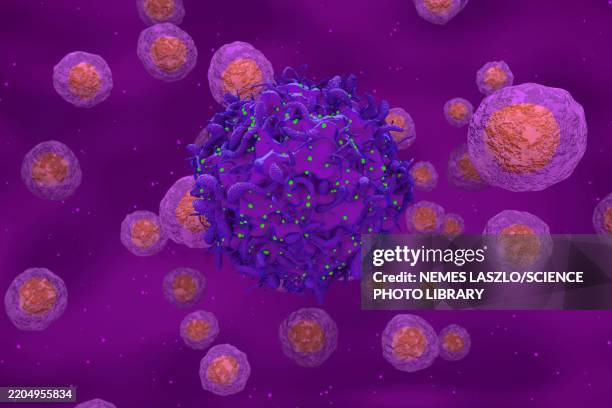 cell infected with hiv, illustration - immunology stock illustrations