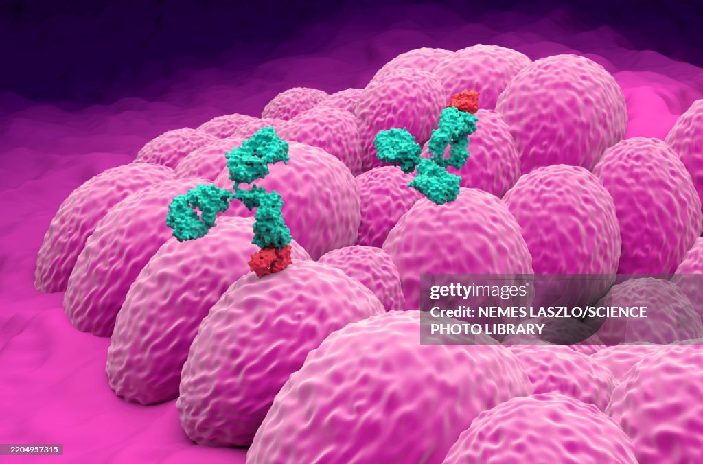 Monoclonal antibody therapy for endometrial cancer, illustration