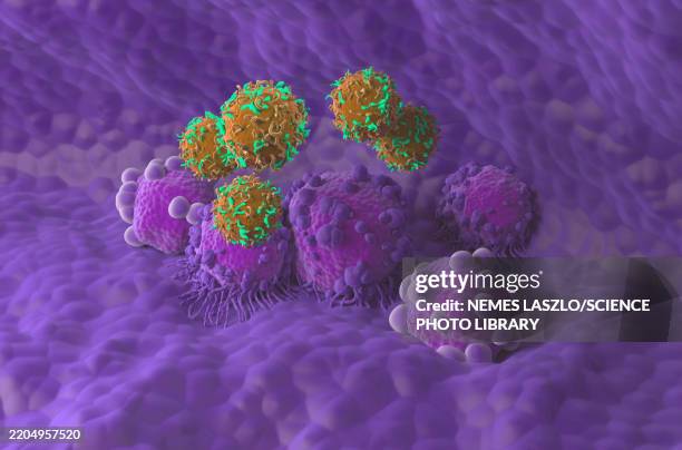 bildbanksillustrationer, clip art samt tecknat material och ikoner med car-t cell therapy for pancreatic cancer, illustration - cell