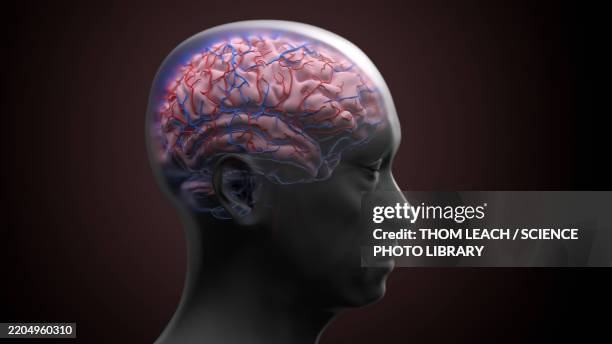 ilustraciones, imágenes clip art, dibujos animados e iconos de stock de neurodegeneration, conceptual illustration - enfermedad de alzheimer