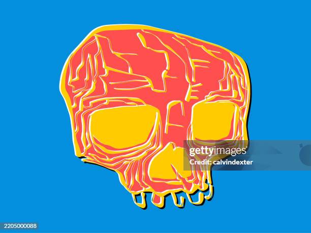 human skull cartoon illustration - human skeleton drawing stock illustrations