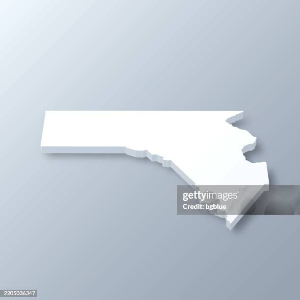 fannin county, georgia. 3d map on gray background - blue ridge georgia stock illustrations