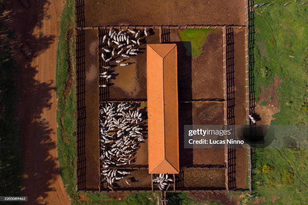 Aerial View of Cattle Corral