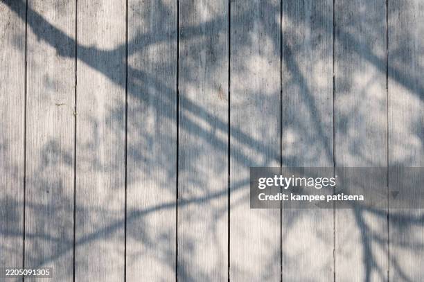 a wooden board with a slanted line on it - crooked tree stock pictures, royalty-free photos & images