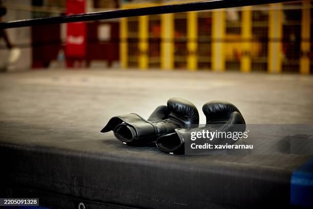 retrato de guantes de boxeo negros descansando sobre lienzo - guante de boxeo fotografías e imágenes de stock