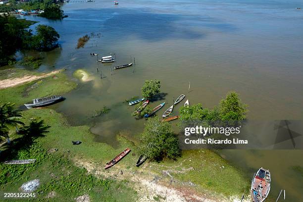 Para Riviere 304,734 Para Photo Stock Photos, High-Res Pictures, and Images - Getty ...