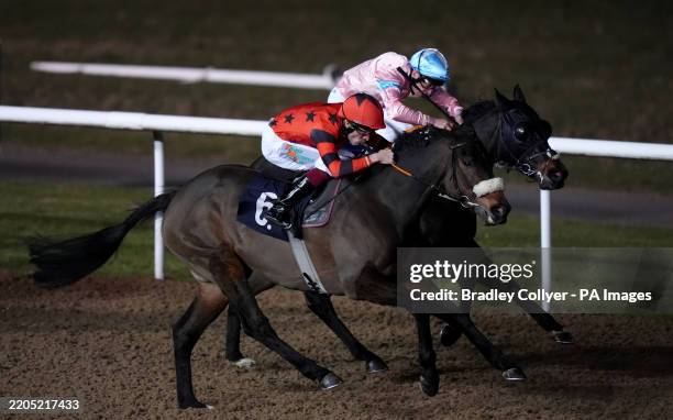 Pessoa Ridden 103 Finley Marsh Stock Photos, High-Res Pictures, and Images - Getty Images