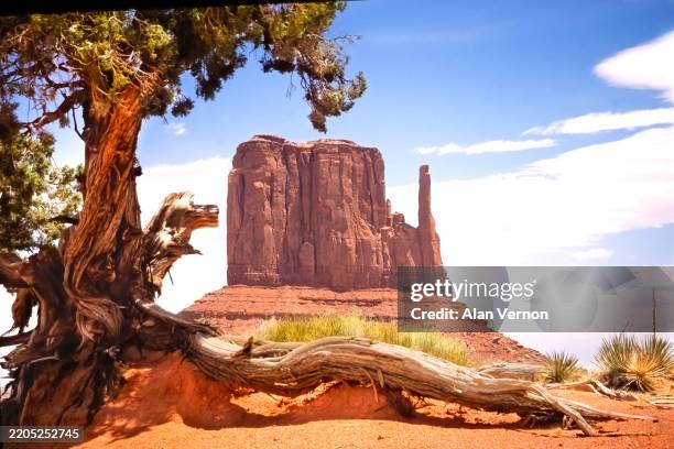 west mitten – monument valley - vale monument imagens e fotografias de stock