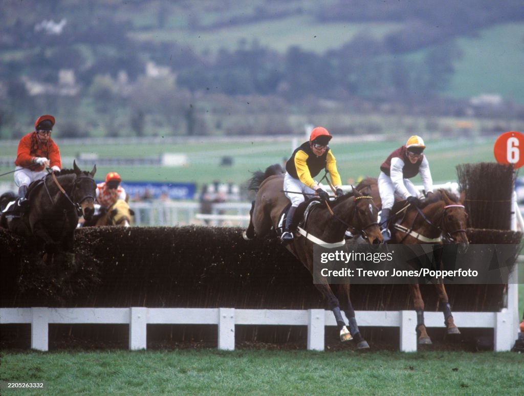 The Queen Mother Champion Chase At Cheltenham