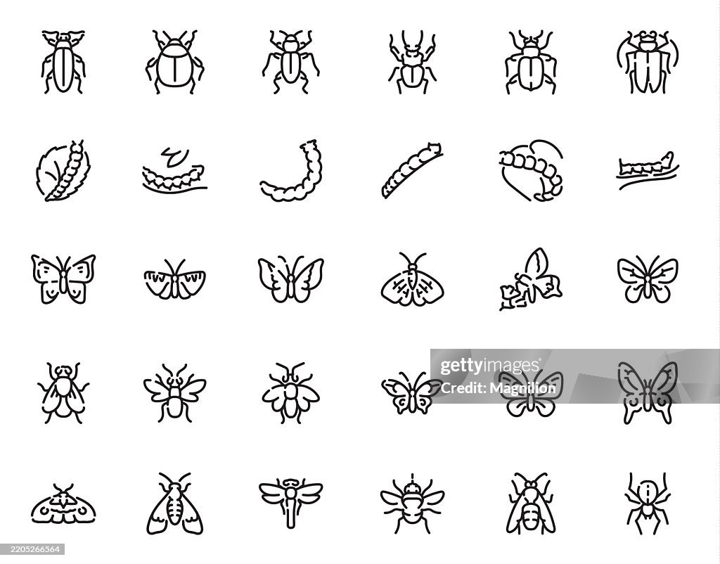 Various Insects Including Beetles, Caterpillars, Butterflies, Moths, Dragonflies, Flies, Ants, and Other Winged and Crawling Bugs in Different Poses And Styles, Vector Line Icons Set, Editable Stroke