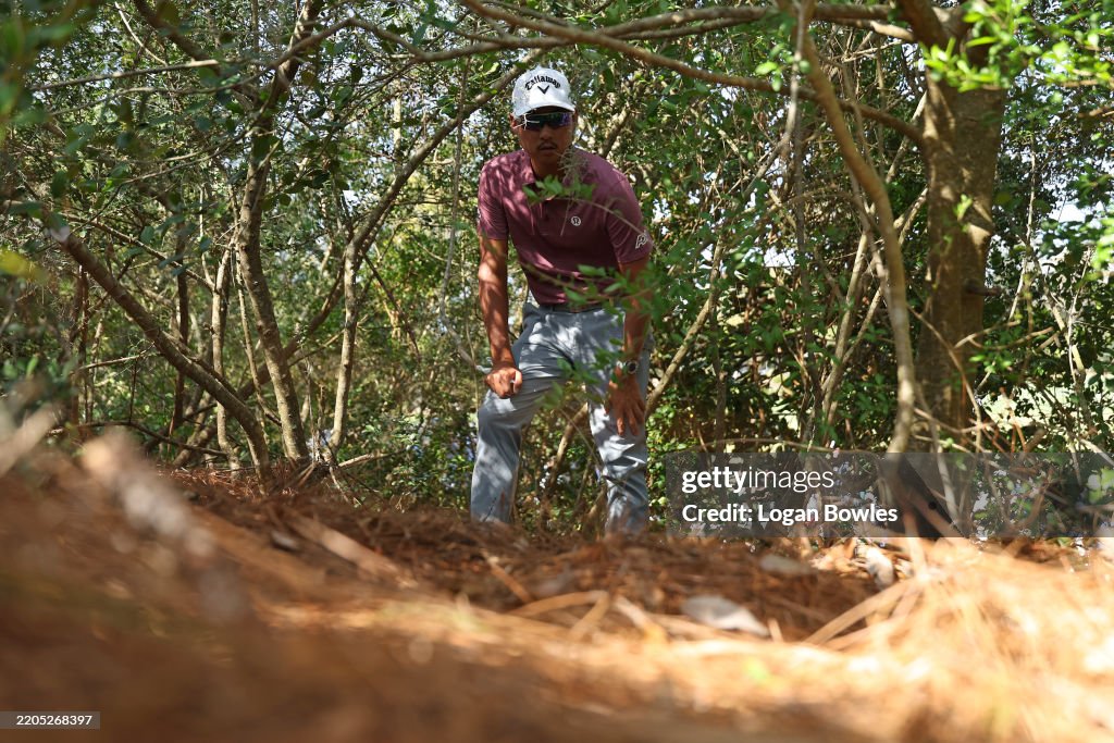 THE PLAYERS Championship 2025 - Round Three