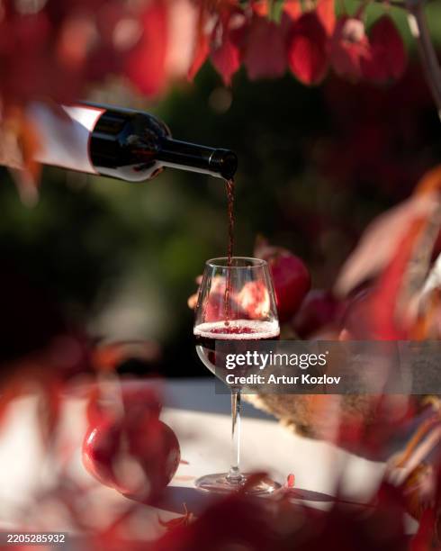 burgundy wineglass with red wine on table. waiter pours ruby wine into bordeaux glass. wine tasting. aperitif. alcohol beverage. drink concept. autumn atmosphere. dinner in restaurant - cabernet sauvignon druif stockfoto's en -beelden