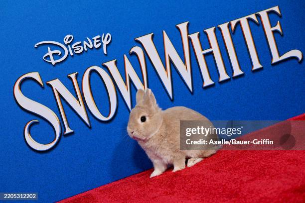 Forest Rabbit attends the World Premiere of Walt Disney Studios' "Snow White" at El Capitan Theatre on March 15, 2025 in Los Angeles, California.