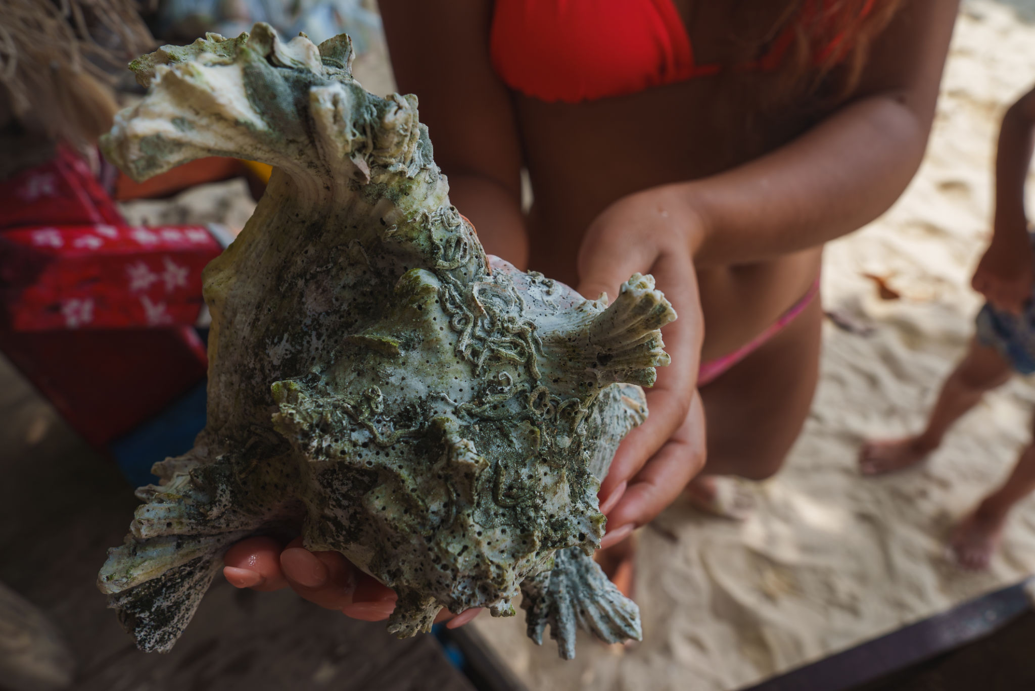 unique bikini texture