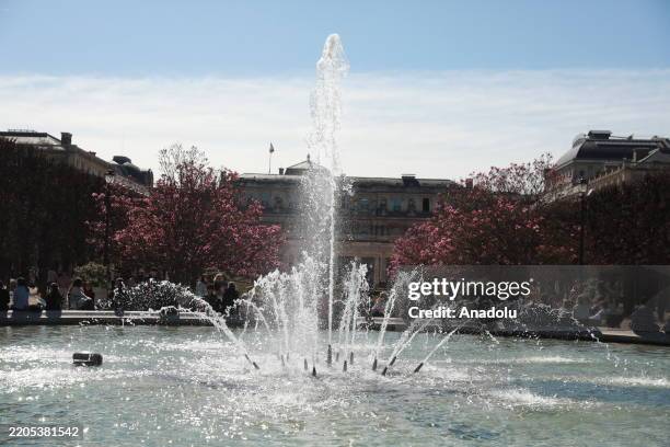 People walk around the garden to see the annual display of magnolia blossoms as Paris's Palais Royal Garden bursts with color during the Magnolia...