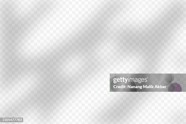 tree and leaf shadow overlay with transparent background - tree shadow wall stock illustrations
