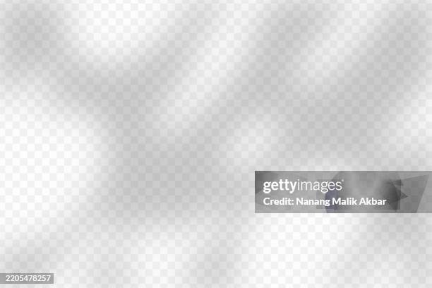tree and leaf shadow overlay with transparent background - tree shadow wall stock illustrations