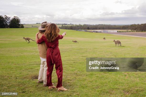 couple watching kangaroos in hunter valley - pokolbin stock pictures, royalty-free photos & images