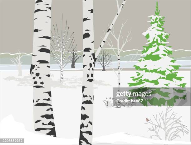 winter rural landscape - birch trees stock illustrations