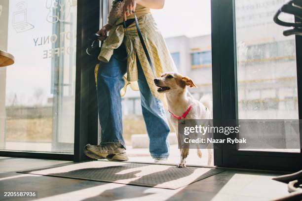 unrecognizable woman entering coffee shop with dog on leash - dog walking stock pictures, royalty-free photos & images
