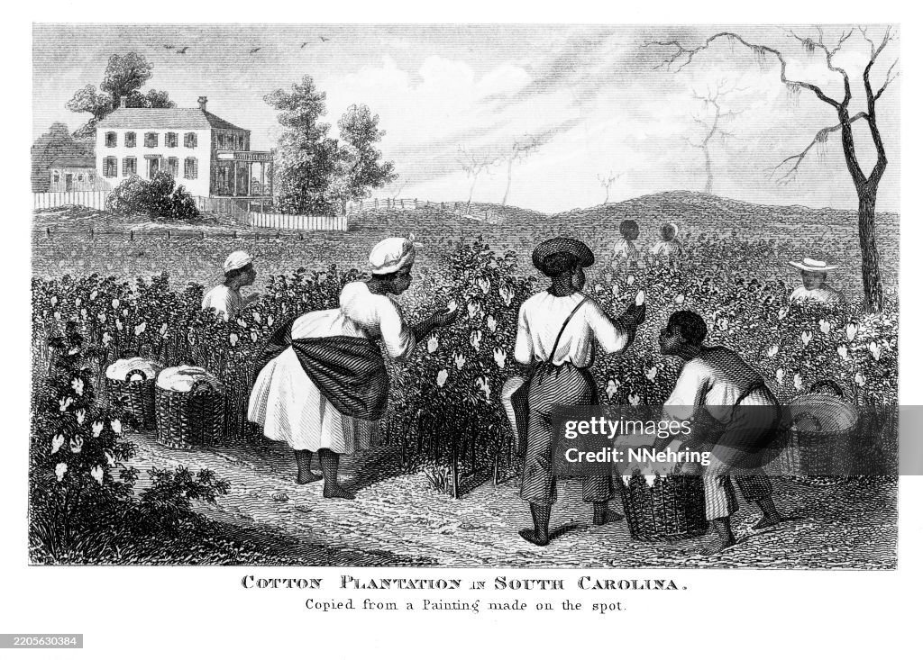 Woodcut of African Anerican slaves picking cotton 1866