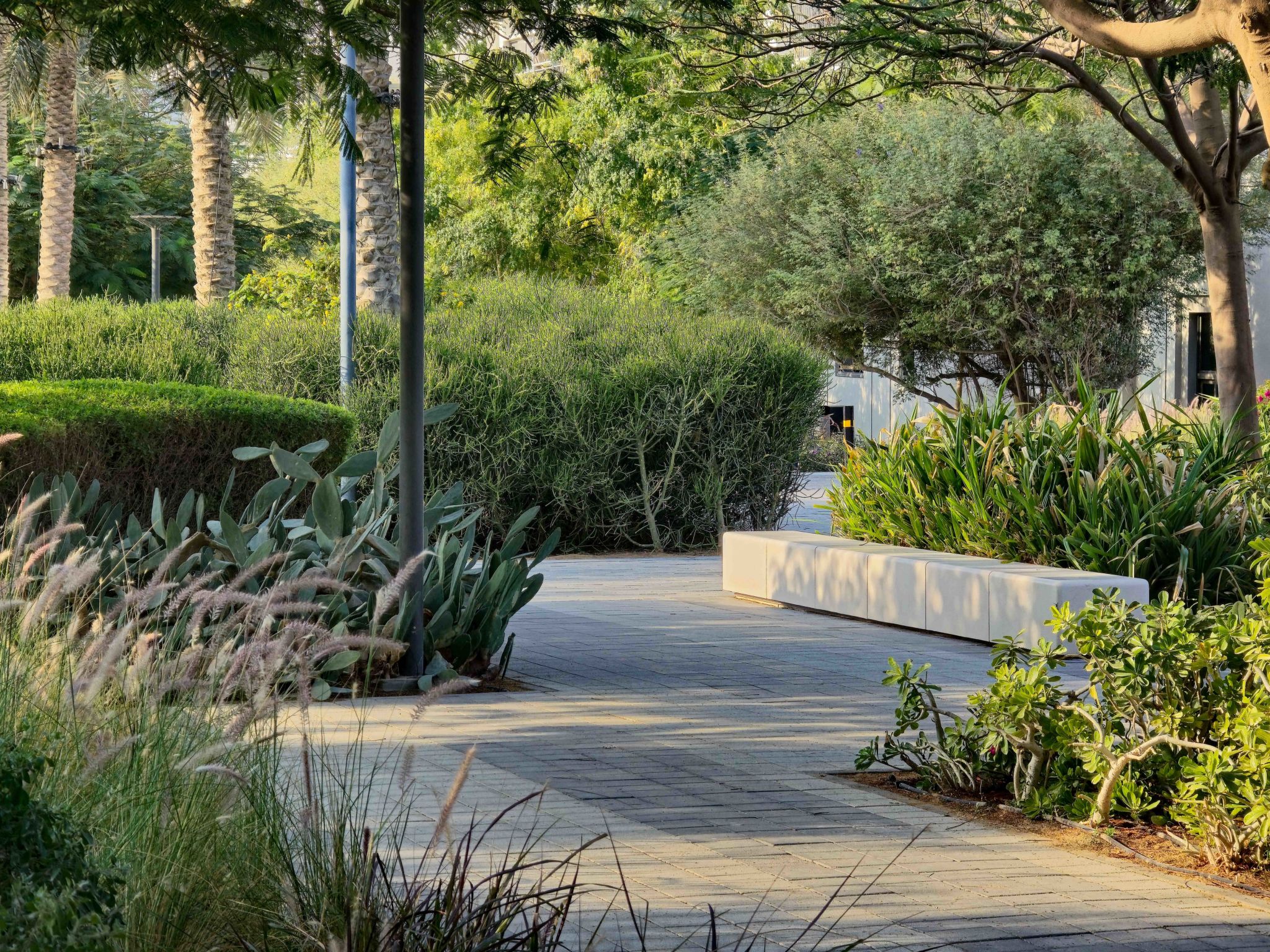 uae garden