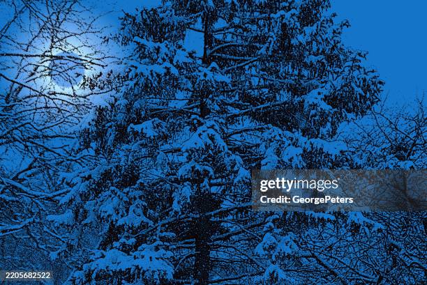 pine tree covered in fresh snow and moonlight - minnesota winter stock illustrations