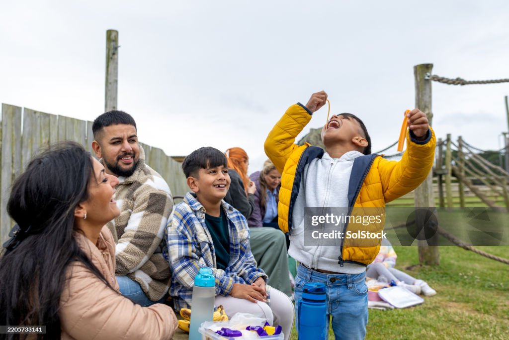Joyful Family Picnic Moments