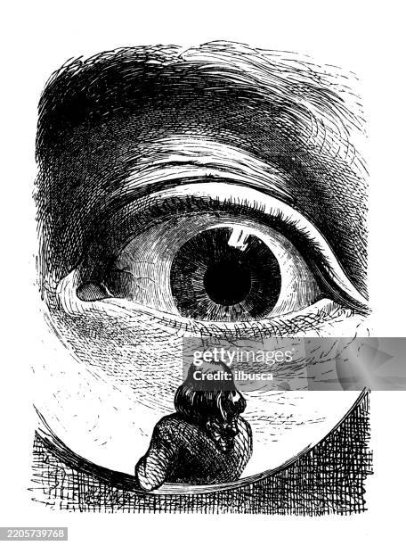 gullivers reisen von jonathan swift, antike illustration (1856) - gravur stock-grafiken, -clipart, -cartoons und -symbole