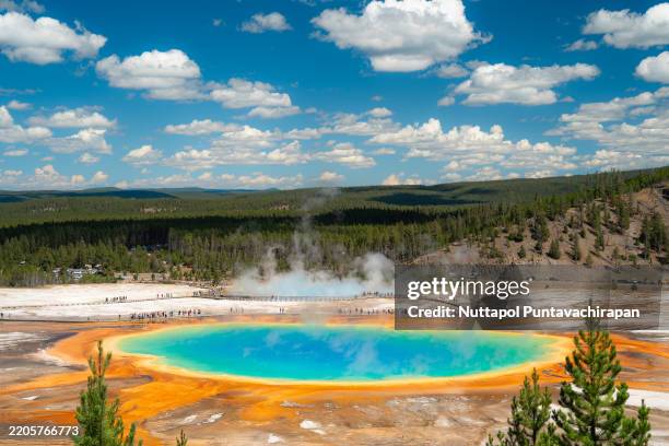 bird’s eye view of grand prismatic spring in yellowstone national park, wyoming, usa - yellowstone photos et images de collection