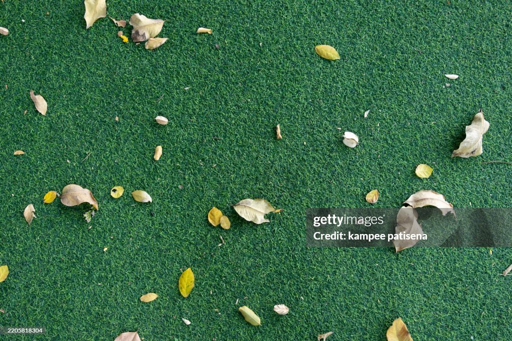 Artificial Grass, close up, full frame shot