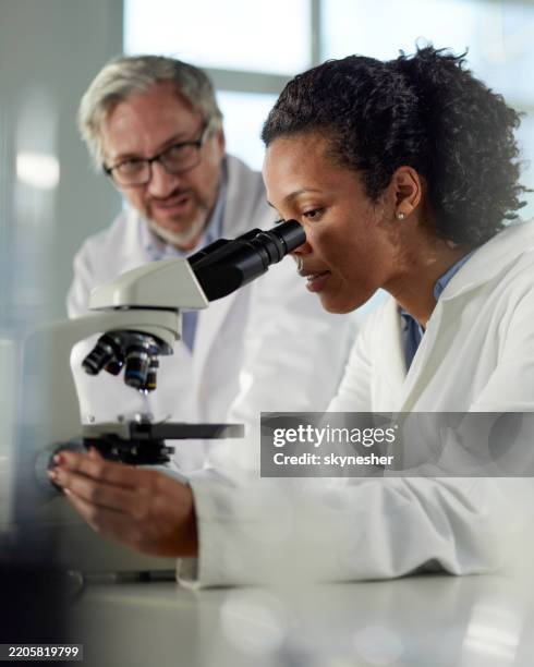 Black Using Microscope 2,059 Black Female Scientist Microscope Stock Photos, High-Res Pictures ...