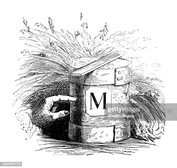 gulliver's travels by jonathan swift, antique illustration (1856) - cheese maker stock illustrations