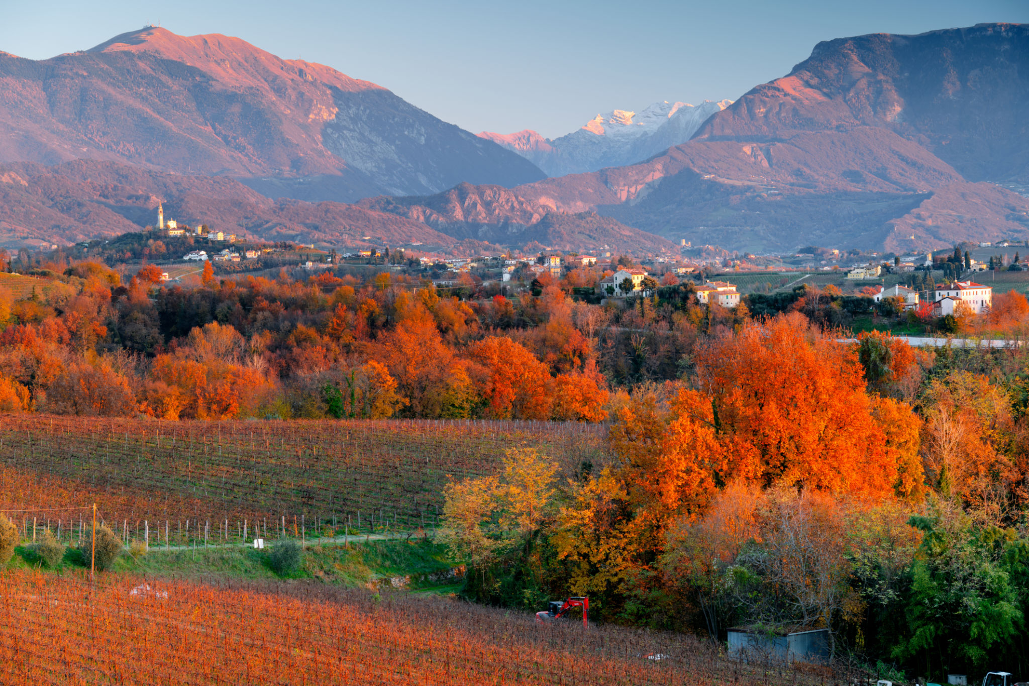 prosecco hills vineyard