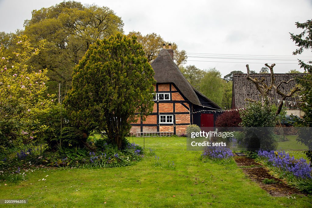 Traditional Thatched Cottage with Spring Garden in Rural England, UK