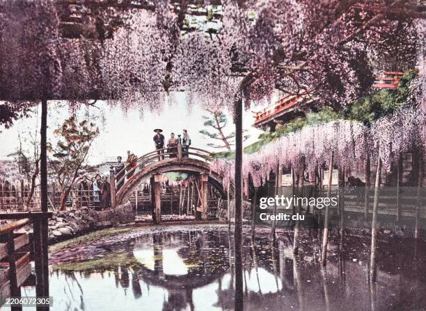 japan, tokyo, ueno park lake - ueno park tokyo stock illustrations