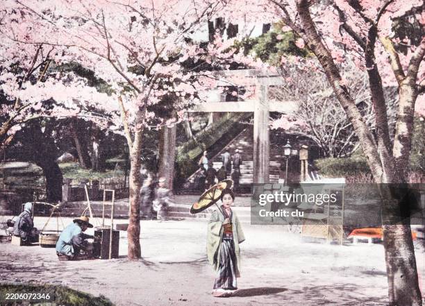 japan, tokyo, ueno park - ueno park tokyo stock illustrations