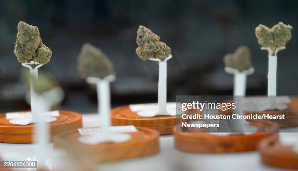 Selection of THCa hemp flowers are shown at The Cobo Dispensary, 4403 Buck St., in Houston, Friday, March 14, 2025.