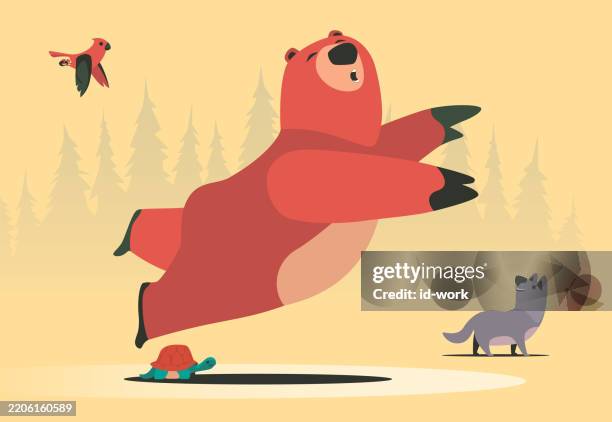 bär fällt hin, während er über schildkröte stolpert - stolpern stock-grafiken, -clipart, -cartoons und -symbole