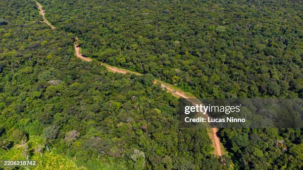 aerial view of a dirt road crossing through the amazon rainforest - amazon rainforest deforestation brazil stock pictures, royalty-free photos & images