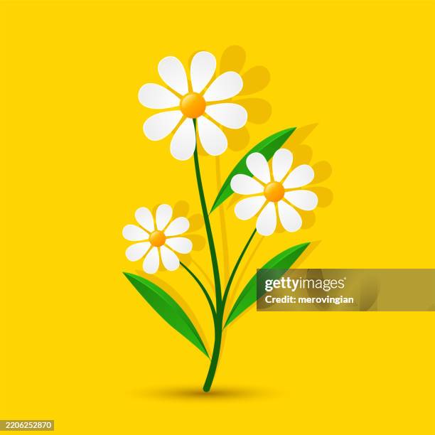 white daisies on yellow background - warm light stock illustrations