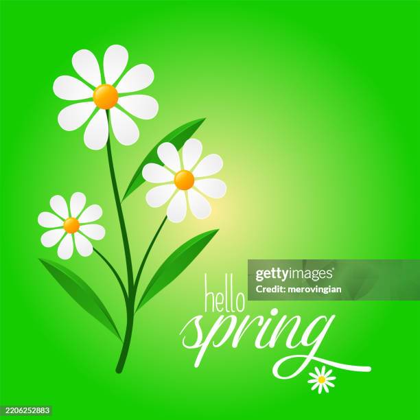 white daisies on green background - hello summer stock illustrations