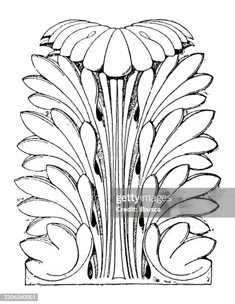 artificial acanthus leaf - nature and plants ornament, decoration, design element - corinthian stock illustrations