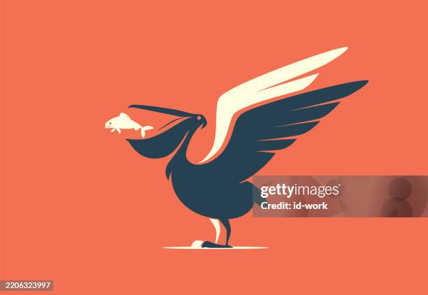 pelican catching fish - pelican stock illustrations