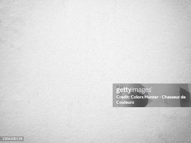 gray and black dots on white paper with a light shadow effect. macro photograph of a poster printed in offset. paris, france. - materiale cartaceo foto e immagini stock