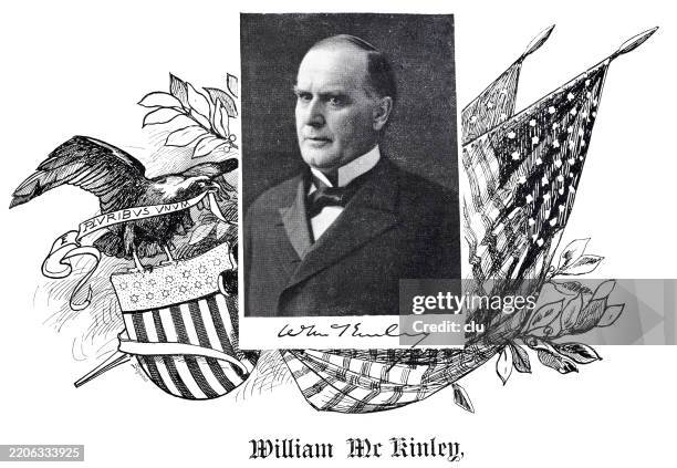 portrait of william mckinley, american president - william mckinley us president stock illustrations