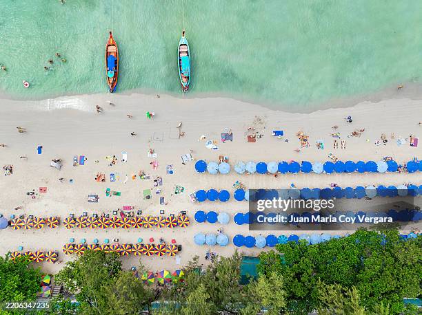 tropical aerial view of a phuket beach showing a vibrant coastline with rows of bright blue and multicolored umbrellas lining the golden sand. - phuket stock pictures, royalty-free photos & images